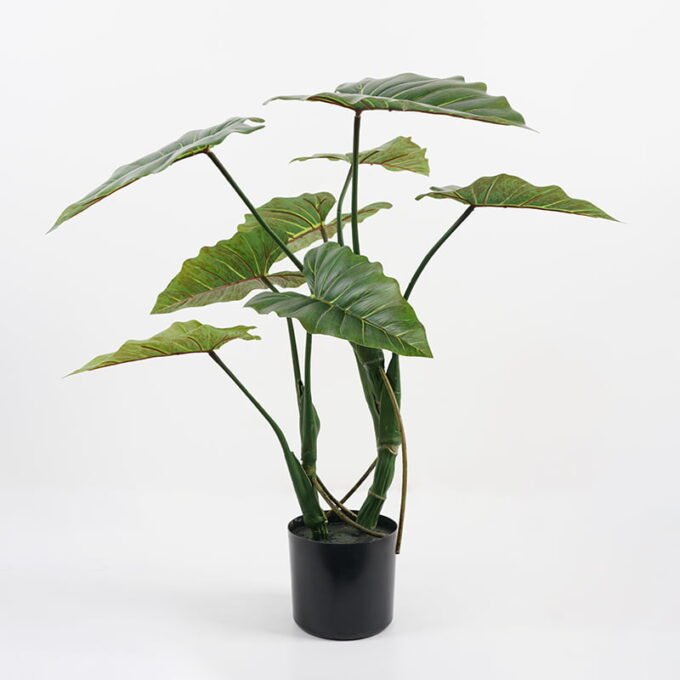 Artificial Tree 73*76*71CM Rainbow taro in pp pot GS-48521018 Tree&Plant YeahFlower is one of Chinese leading OEM manufacturers and exporters , supplying the silk flowers, wholesale artificial trees