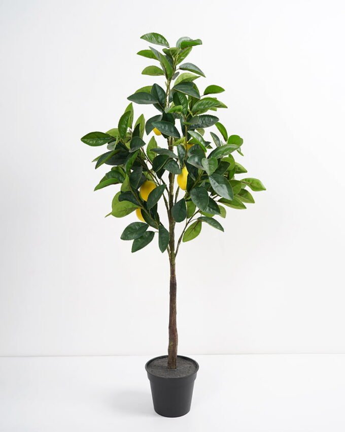 Artificial Tree 38*38*85cm Real touch Lemon tree in PP pot GF-29821002 Tree&Plant YeahFlower is one of Chinese leading OEM manufacturers and exporters , supplying the silk flowers, wholesale artificial trees