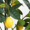 Artificial Tree 38*38*85cm Real touch Lemon tree in PP pot GF-29821002 Tree&Plant YeahFlower is one of Chinese leading OEM manufacturers and exporters , supplying the silk flowers, wholesale artificial trees