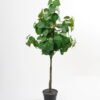 Artificial Tree 42*36*85cm Real touch Pilea peperomioides diels tree in PP pot GF-29821003 Tree&Plant YeahFlower is one of Chinese leading OEM manufacturers and exporters , supplying the silk flowers, wholesale artificial trees