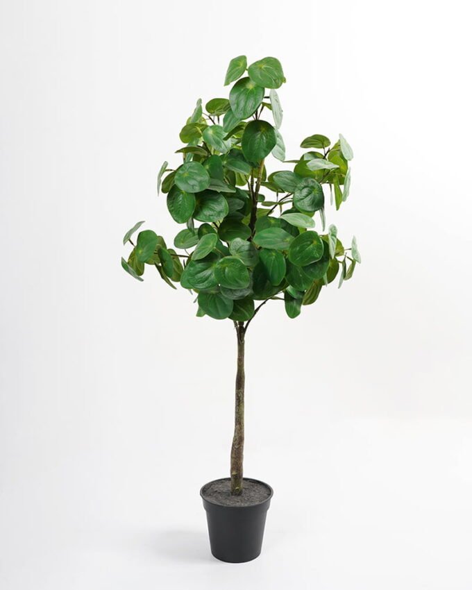 Artificial Tree 42*36*85cm Real touch Pilea peperomioides diels tree in PP pot GF-29821003 Tree&Plant YeahFlower is one of Chinese leading OEM manufacturers and exporters , supplying the silk flowers, wholesale artificial trees