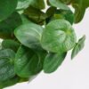 Artificial Tree 42*36*85cm Real touch Pilea peperomioides diels tree in PP pot GF-29821003 Tree&Plant YeahFlower is one of Chinese leading OEM manufacturers and exporters , supplying the silk flowers, wholesale artificial trees