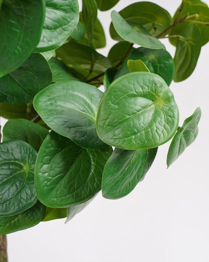 Artificial Tree 42*36*85cm Real touch Pilea peperomioides diels tree in PP pot GF-29821003 Tree&Plant YeahFlower is one of Chinese leading OEM manufacturers and exporters , supplying the silk flowers, wholesale artificial trees