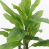 Artificial-Tree-Spathiphyllum-GS-35321001_14-1.jpg Artificial Tree 66*66*90CM Spathiphyllum GS-35321001 Potted Flowers&Plants YeahFlower is one of Chinese leading OEM manufacturers and exporters , supplying the silk flowers, wholesale artificial trees