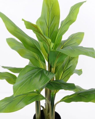 Artificial Tree 66*66*90CM Spathiphyllum GS-35321001 Potted Flowers&Plants YeahFlower is one of Chinese leading OEM manufacturers and exporters , supplying the silk flowers, wholesale artificial trees
