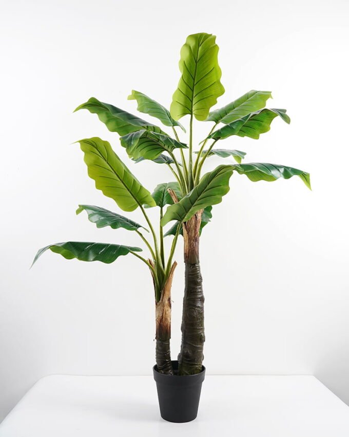 Artificial-Tree-Syngonium-in-pot-lvs15-GS-30421008_6-1.jpg Artificial Tree 101*90*137CM Syngonium in pot/lvs15 GS-30421008 Potted Flowers&Plants YeahFlower is one of Chinese leading OEM manufacturers and exporters , supplying the silk flowers, wholesale artificial trees