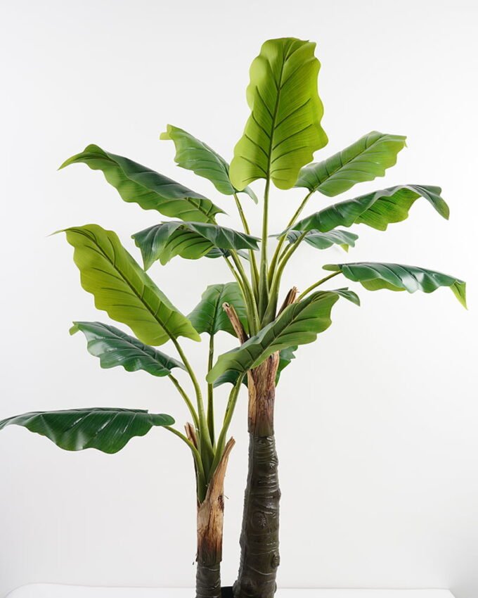 Artificial-Tree-Syngonium-in-pot-lvs15-GS-30421008_9-1.jpg Artificial Tree 101*90*137CM Syngonium in pot/lvs15 GS-30421008 Potted Flowers&Plants YeahFlower is one of Chinese leading OEM manufacturers and exporters , supplying the silk flowers, wholesale artificial trees