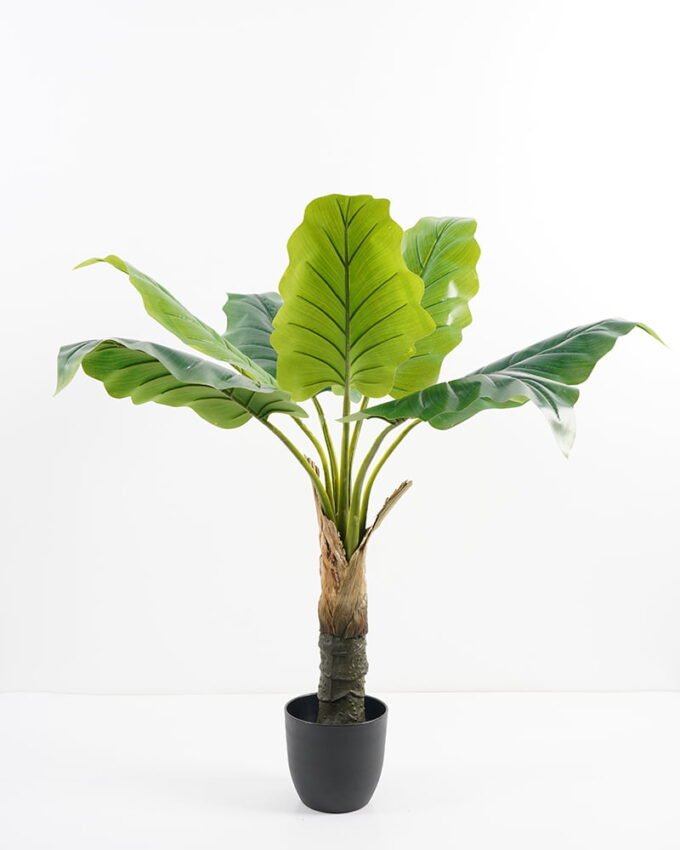 Artificial-Tree-Syngonium-in-pot-lvs7-GS-30421006_3-1.jpg Artificial Tree 81*81*88CM Syngonium in pot/lvs7 GS-30421006 Potted Flowers&Plants YeahFlower is one of Chinese leading OEM manufacturers and exporters , supplying the silk flowers, wholesale artificial trees