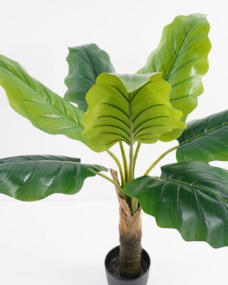 Artificial Tree 81*81*88CM Syngonium in pot/lvs7 GS-30421006 Potted Flowers&Plants YeahFlower is one of Chinese leading OEM manufacturers and exporters , supplying the silk flowers, wholesale artificial trees