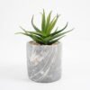 Artificial succulent 11*11*17cm Succulent in cement pot GS-51721001 Succulent YeahFlower is one of Chinese leading OEM manufacturers and exporters , supplying the silk flowers, wholesale artificial trees