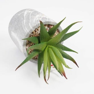 Artificial succulent 11*11*17cm Succulent in cement pot GS-51721001 Succulent YeahFlower is one of Chinese leading OEM manufacturers and exporters , supplying the silk flowers, wholesale artificial trees Artificial succulent 11*11*17cm Succulent in cement pot GS-51721001 Succulent YeahFlower is one of Chinese leading OEM manufacturers and exporters , supplying the silk flowers, wholesale artificial trees