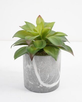 Artificial succulent 15*15*15cm Succulent in cement pot GS-51721002 Succulent YeahFlower is one of Chinese leading OEM manufacturers and exporters , supplying the silk flowers, wholesale artificial trees Artificial succulent 15*15*15cm Succulent in cement pot GS-51721002 Succulent YeahFlower is one of Chinese leading OEM manufacturers and exporters , supplying the silk flowers, wholesale artificial trees