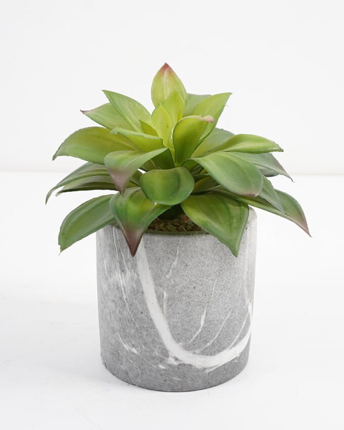 Artificial succulent 15*15*15cm Succulent in cement pot GS-51721002 Succulent YeahFlower is one of Chinese leading OEM manufacturers and exporters , supplying the silk flowers, wholesale artificial trees