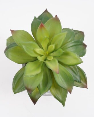 Artificial succulent 15*15*15cm Succulent in cement pot GS-51721002 Succulent YeahFlower is one of Chinese leading OEM manufacturers and exporters , supplying the silk flowers, wholesale artificial trees Artificial succulent 15*15*15cm Succulent in cement pot GS-51721002 Succulent YeahFlower is one of Chinese leading OEM manufacturers and exporters , supplying the silk flowers, wholesale artificial trees