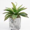 Artificial succulent 16*16*17cm Succulent in cement pot GS-51721003 Succulent YeahFlower is one of Chinese leading OEM manufacturers and exporters , supplying the silk flowers, wholesale artificial trees