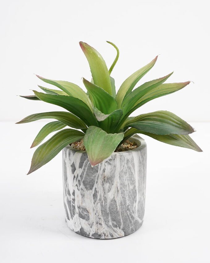 Artificial succulent 16*16*17cm Succulent in cement pot GS-51721003 Succulent YeahFlower is one of Chinese leading OEM manufacturers and exporters , supplying the silk flowers, wholesale artificial trees
