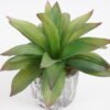 Artificial succulent 16*16*17cm Succulent in cement pot GS-51721003 Succulent YeahFlower is one of Chinese leading OEM manufacturers and exporters , supplying the silk flowers, wholesale artificial trees