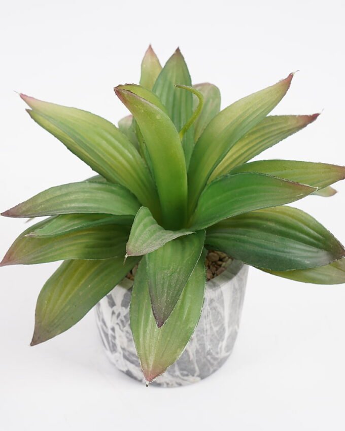 Artificial succulent 16*16*17cm Succulent in cement pot GS-51721003 Succulent YeahFlower is one of Chinese leading OEM manufacturers and exporters , supplying the silk flowers, wholesale artificial trees