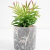 Artificial succulent 11*11*17cm Succulent in cement pot GS-51721004 Succulent YeahFlower is one of Chinese leading OEM manufacturers and exporters , supplying the silk flowers, wholesale artificial trees