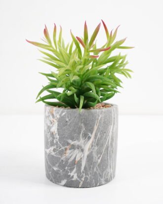 Artificial succulent 11*11*17cm Succulent in cement pot GS-51721004 Succulent YeahFlower is one of Chinese leading OEM manufacturers and exporters , supplying the silk flowers, wholesale artificial trees Artificial succulent 11*11*17cm Succulent in cement pot GS-51721004 Succulent YeahFlower is one of Chinese leading OEM manufacturers and exporters , supplying the silk flowers, wholesale artificial trees