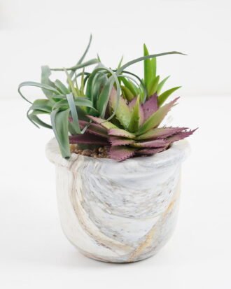 Artificial succulent 9*9*11cm Succulent in cement pot GS-51721006 Succulent YeahFlower is one of Chinese leading OEM manufacturers and exporters , supplying the silk flowers, wholesale artificial trees Artificial succulent 9*9*11cm Succulent in cement pot GS-51721006 Succulent YeahFlower is one of Chinese leading OEM manufacturers and exporters , supplying the silk flowers, wholesale artificial trees