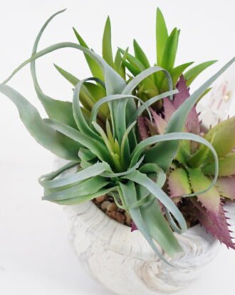 Artificial succulent 9*9*11cm Succulent in cement pot GS-51721006 Succulent YeahFlower is one of Chinese leading OEM manufacturers and exporters , supplying the silk flowers, wholesale artificial trees Artificial succulent 9*9*11cm Succulent in cement pot GS-51721006 Succulent YeahFlower is one of Chinese leading OEM manufacturers and exporters , supplying the silk flowers, wholesale artificial trees