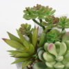 Artificial succulent 9*10*12cm Succulent in cement pot GS-51721007 Succulent YeahFlower is one of Chinese leading OEM manufacturers and exporters , supplying the silk flowers, wholesale artificial trees