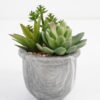 Artificial succulent 9*10*12cm Succulent in cement pot GS-51721007 Succulent YeahFlower is one of Chinese leading OEM manufacturers and exporters , supplying the silk flowers, wholesale artificial trees