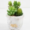 Artificial succulent 10*10*13cm Succulent in cement pot GS-51721008 Succulent YeahFlower is one of Chinese leading OEM manufacturers and exporters , supplying the silk flowers, wholesale artificial trees