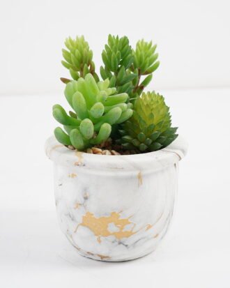 Artificial succulent 10*10*13cm Succulent in cement pot GS-51721008 Succulent YeahFlower is one of Chinese leading OEM manufacturers and exporters , supplying the silk flowers, wholesale artificial trees Artificial succulent 10*10*13cm Succulent in cement pot GS-51721008 Succulent YeahFlower is one of Chinese leading OEM manufacturers and exporters , supplying the silk flowers, wholesale artificial trees