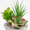 Artificial succulent 11*11*17cm Succulent in cement pot GS-51721010 Succulent YeahFlower is one of Chinese leading OEM manufacturers and exporters , supplying the silk flowers, wholesale artificial trees