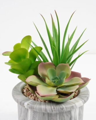 Artificial succulent 11*11*17cm Succulent in cement pot GS-51721010 Succulent YeahFlower is one of Chinese leading OEM manufacturers and exporters , supplying the silk flowers, wholesale artificial trees