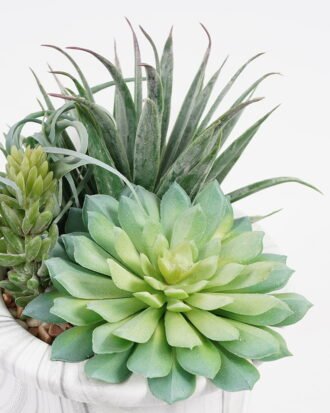 Artificial succulent 14*14*18cm Succulent in cement pot GS-51721014 Succulent YeahFlower is one of Chinese leading OEM manufacturers and exporters , supplying the silk flowers, wholesale artificial trees