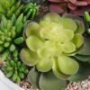 Artificial succulent 24*24*15cm Succulent in cement pot GS-51721020 Succulent YeahFlower is one of Chinese leading OEM manufacturers and exporters , supplying the silk flowers, wholesale artificial trees