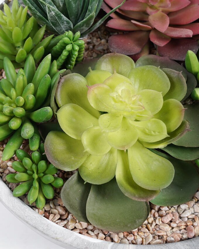 Artificial succulent 24*24*15cm Succulent in cement pot GS-51721020 Succulent YeahFlower is one of Chinese leading OEM manufacturers and exporters , supplying the silk flowers, wholesale artificial trees