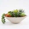 Artificial succulent 31*31*16cm Succulent in cement pot GS-51721021 Succulent YeahFlower is one of Chinese leading OEM manufacturers and exporters , supplying the silk flowers, wholesale artificial trees