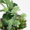 Artificial succulent 11*11*24cm Succulent in ceramic  pot GS-51721005 Succulent YeahFlower is one of Chinese leading OEM manufacturers and exporters , supplying the silk flowers, wholesale artificial trees