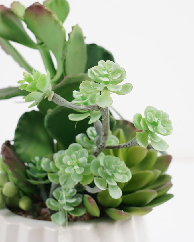 Artificial succulent 11*11*24cm Succulent in ceramic  pot GS-51721005 Succulent YeahFlower is one of Chinese leading OEM manufacturers and exporters , supplying the silk flowers, wholesale artificial trees