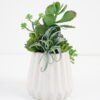 Artificial succulent 11*11*24cm Succulent in ceramic  pot GS-51721005 Succulent YeahFlower is one of Chinese leading OEM manufacturers and exporters , supplying the silk flowers, wholesale artificial trees