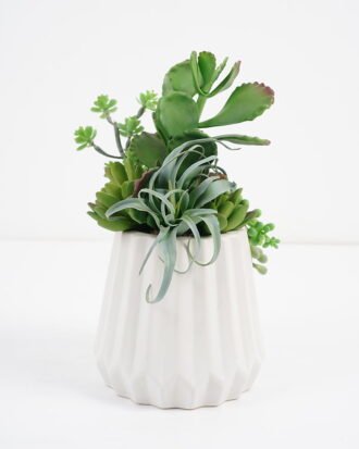 Artificial succulent 11*11*24cm Succulent in ceramic pot GS-51721005 Succulent YeahFlower is one of Chinese leading OEM manufacturers and exporters , supplying the silk flowers, wholesale artificial trees Artificial succulent 11*11*24cm Succulent in ceramic pot GS-51721005 Succulent YeahFlower is one of Chinese leading OEM manufacturers and exporters , supplying the silk flowers, wholesale artificial trees