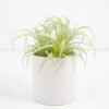 Artificial succulent 10*10*12cm  Succulent in ceramic pot GS-51721015 Succulent YeahFlower is one of Chinese leading OEM manufacturers and exporters , supplying the silk flowers, wholesale artificial trees