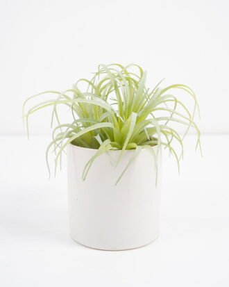 Artificial succulent 10*10*12cm  Succulent in ceramic pot GS-51721015 Succulent YeahFlower is one of Chinese leading OEM manufacturers and exporters , supplying the silk flowers, wholesale artificial trees