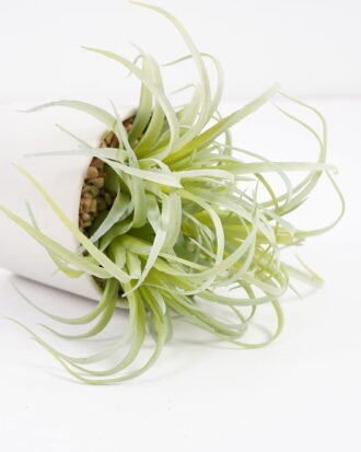 Artificial succulent 10*10*12cm  Succulent in ceramic pot GS-51721015 Succulent YeahFlower is one of Chinese leading OEM manufacturers and exporters , supplying the silk flowers, wholesale artificial trees