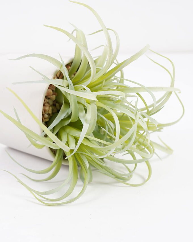 Artificial succulent 10*10*12cm  Succulent in ceramic pot GS-51721015 Succulent YeahFlower is one of Chinese leading OEM manufacturers and exporters , supplying the silk flowers, wholesale artificial trees