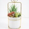 Artificial succulent 13*13*27cm Succulent in ceramic pot with iron frame GS-51721017 Succulent 3,000+ sqm showroom with thousands of artificial flowers, plants & trees ready for global sourcing.