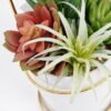 Artificial succulent 13*13*27cm Succulent in ceramic pot with iron frame GS-51721017 Succulent 3,000+ sqm showroom with thousands of artificial flowers, plants & trees ready for global sourcing.