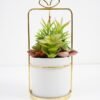 Artificial succulent 13*13*27cm Succulent in ceramic pot with iron frame GS-51721018 Succulent YeahFlower is one of Chinese leading OEM manufacturers and exporters , supplying the silk flowers, wholesale artificial trees