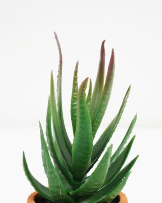 Artificial succulent Succulent plant in Paper pulp pot GS-51721063 Succulent YeahFlower is one of Chinese leading OEM manufacturers and exporters , supplying the silk flowers, wholesale artificial trees
