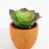 Artificial succulent Succulent plant in Paper pulp pot GS-51721066_10 Artificial succulent Succulent plant in Paper pulp pot GS-51721066 Succulent YeahFlower is one of Chinese leading OEM manufacturers and exporters , supplying the silk flowers, wholesale artificial trees