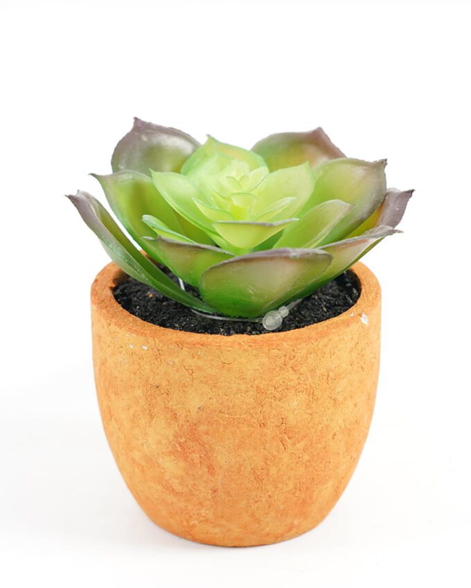 Artificial succulent Succulent plant in Paper pulp pot GS-51721066_3 Artificial succulent Succulent plant in Paper pulp pot GS-51721066 Succulent YeahFlower is one of Chinese leading OEM manufacturers and exporters , supplying the silk flowers, wholesale artificial trees